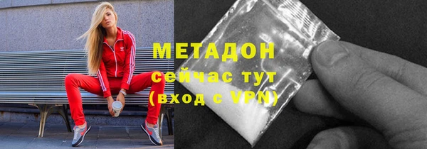 прущие грибы Аркадак