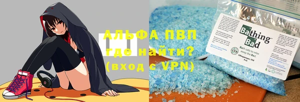 прущие грибы Аркадак