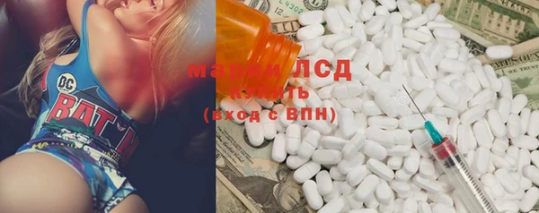 прущие грибы Аркадак