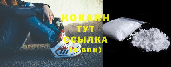 прущие грибы Аркадак