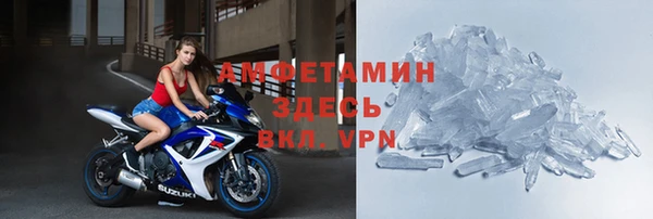 прущие грибы Аркадак