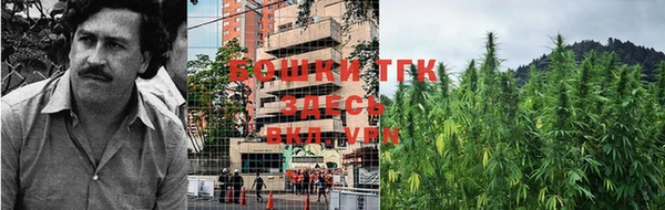 ПСИЛОЦИБИНОВЫЕ ГРИБЫ Армянск
