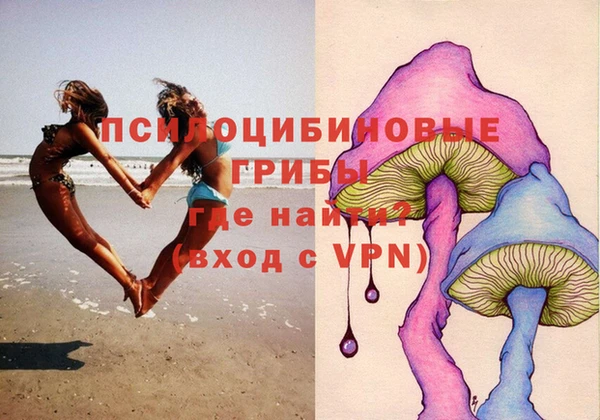 ПСИЛОЦИБИНОВЫЕ ГРИБЫ Армянск