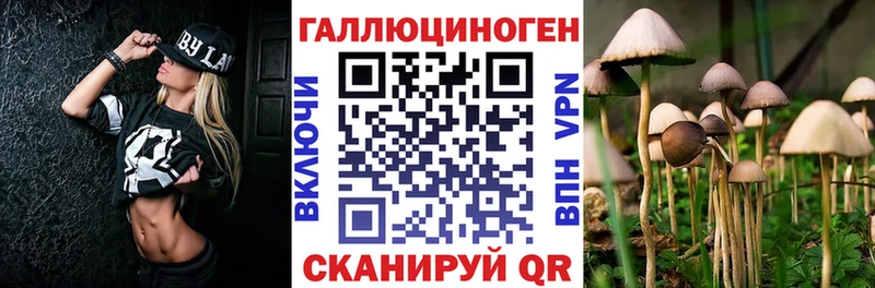 наркотики  Зима  дарк нет клад  Псилоцибиновые грибы MAGIC MUSHROOMS 